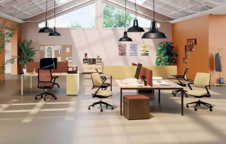 Le top 5 des indispensables en open space