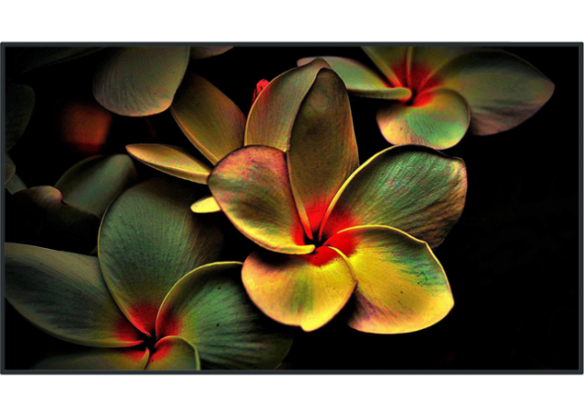 Panasonic EQ2 - Écran professionnel intérieur 43", 50", 55", 65", 75", 86" - Portrait ou Paysage - Slot SDM Panasonic EQ2 - Écran professionnel intérieur 43", 50", 55", 65", 75", 86" - Portrait ou Paysage - Slot SDM PANA TH-43EQ2W Ecrans professionnels intérieur