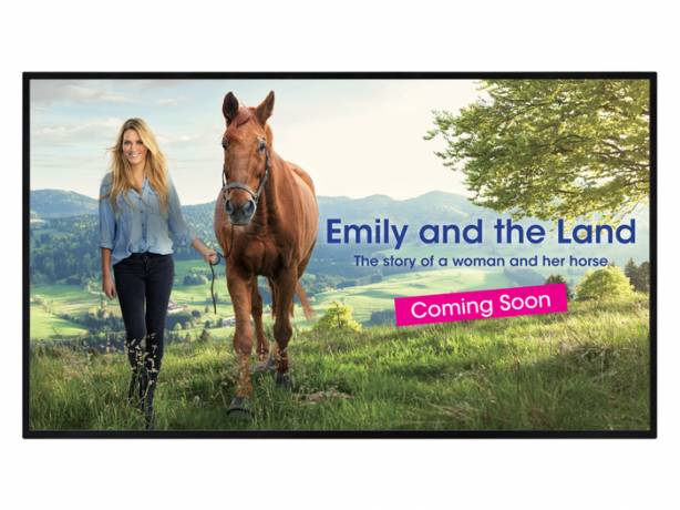 Sharp PN-HW431 - Écran d'affichage 43" -  4K Ultra HD (3840 x 2160 pixels) - 350 cd - USB Player Sharp PN-HW431 - Écran d'affichage 43" -  4K Ultra HD (3840 x 2160 pixels) - 350 cd - USB Player SHARP PN-HW431 Ecrans professionnels intérieur