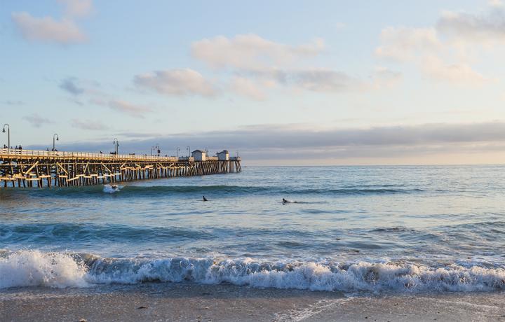 Fermeture vendredi 27 mai 2022 pour le pont de l'ascension