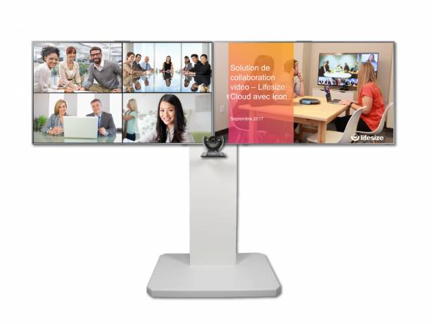 Titan XP180 - Colonne mobile double écran - Pour deux écrans de 40 à 65'' - Noir ou blanc TITAN-XP180-D Meubles colonnes fixes & mobiles