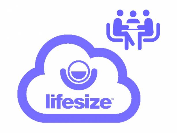 Lifesize Virtual Meeting Room (salle de réunion virtuelle) - abonnement de 1 à 5 ans LIFESIZE 3000-0000-1080 Services de visioconférence